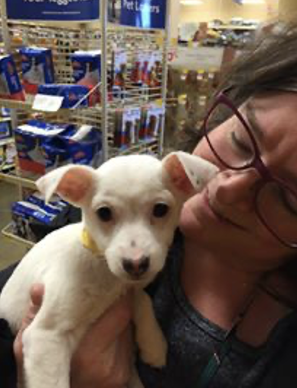 Headeshot of Elizabeth Rhoads, PhD and a small puppy