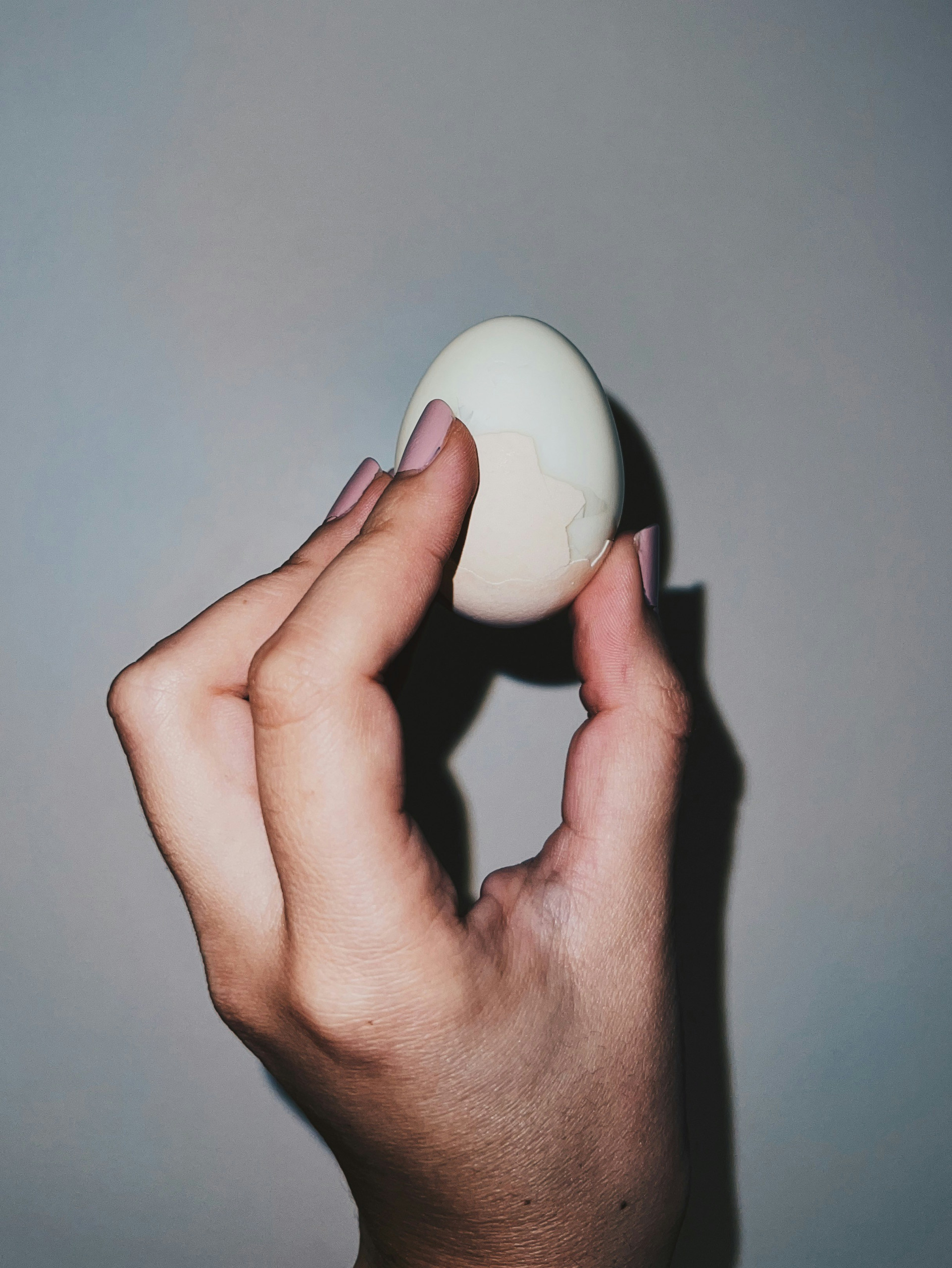 Egg:Hand Photo of a hand holding an egg